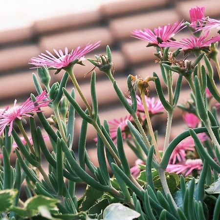 מילאנו Comecasa Flowery Terraced Apartment מראה חיצוני תמונה